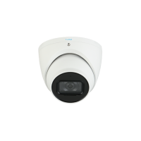 TURM IP Professional | 4 MP | Eyeball Kamera | ProAI | 50...